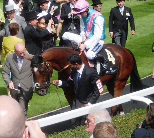 Frankel. Foto: Shergar