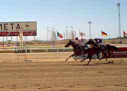 FION sobre VERONA JOS. Foto: Santos Ríos