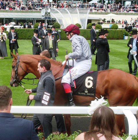 Galileo Gold (L.dettori) 1º en el St James’s Palace Stakes. Foto: Pedro Mercado Galileo Gold. Foto: