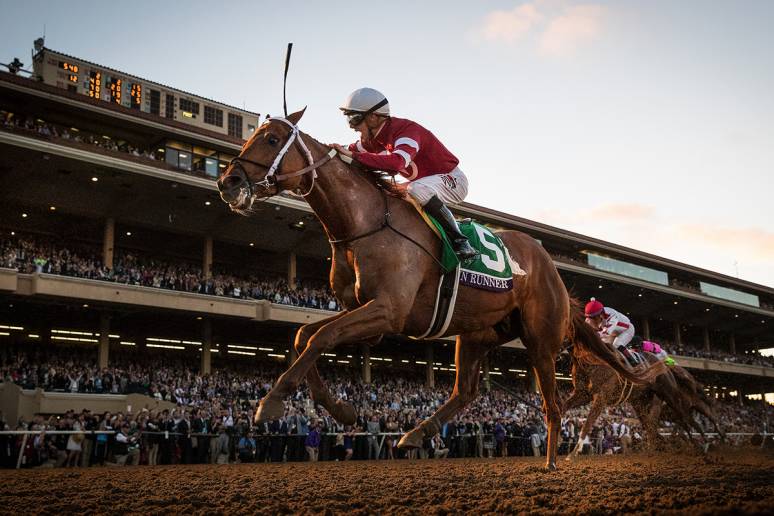 Gun Runner. Foto: 