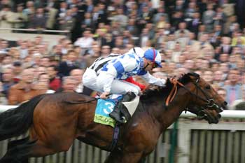 Por los palos, FRIZZANTE consigue adelantar media cabeza al conductor AVONBRIDGE. Foto: Jesús de Miguel