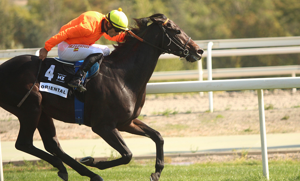 Oriental (B. Fayos) mejor millero de nuestro turf. Foto: HZ Oriental. Foto: