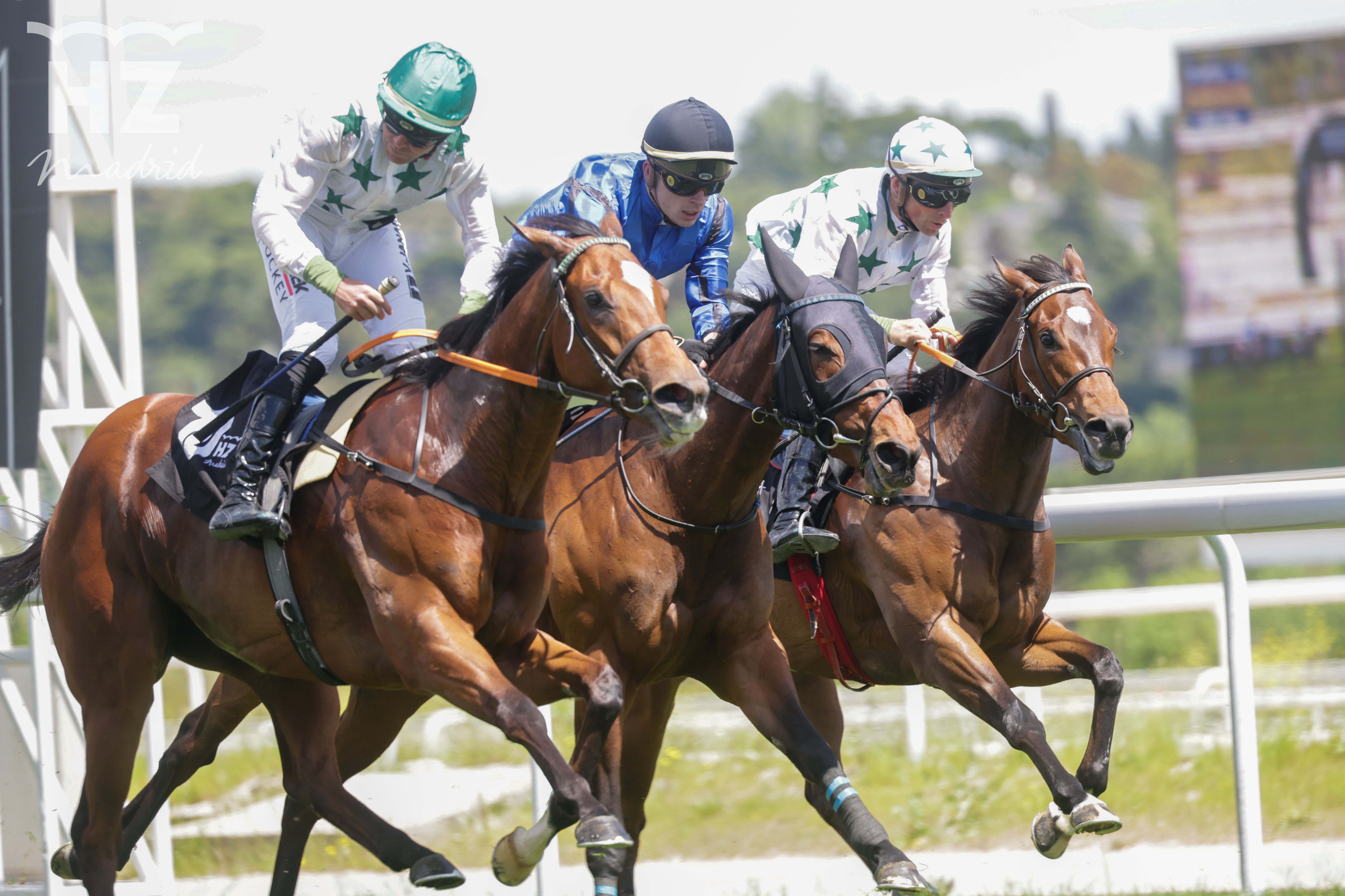 OCTANS (V.Janacek) sufrió más de lo esperado para ganar el premio Valderas. Foto: HZ OCTANS. Foto: