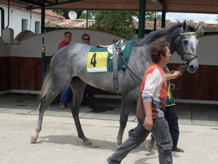 Nelson Groom. Foto: Shergar
