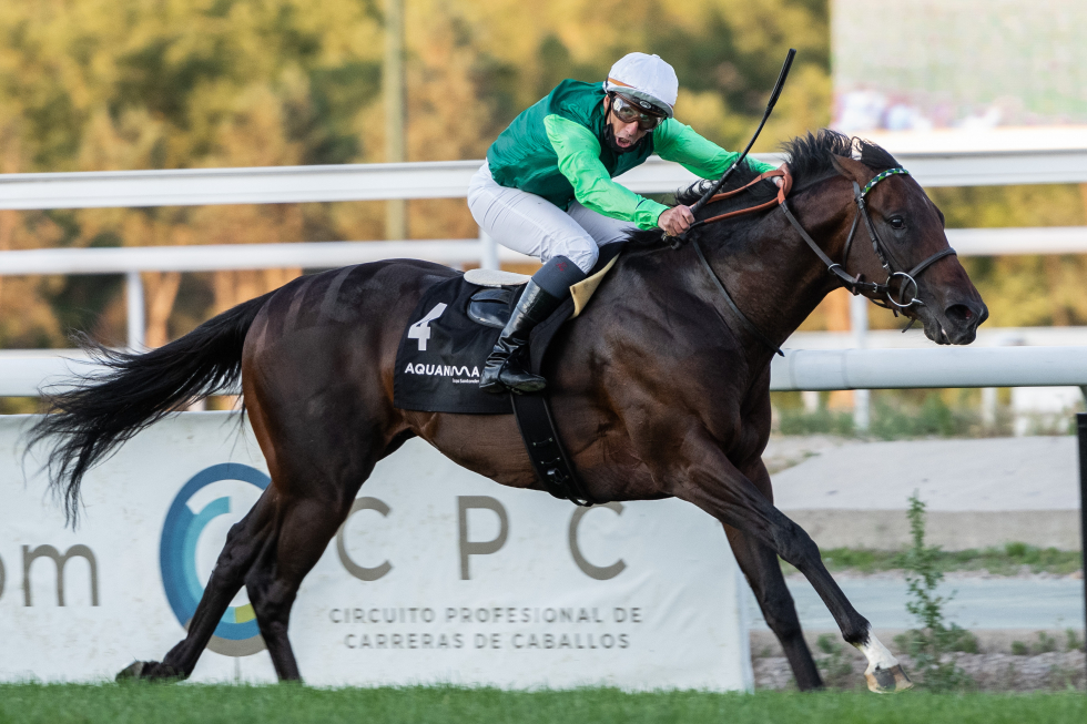 RODABALLO (J.L.Martínez) se despega de sus rivales en el Carudel. Foto: HZ Rodaballo. Foto: