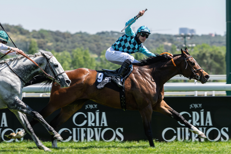 Rodaballo (J.L.Martínez) supera a Great Prospector (M.E.Fernández) en el Covarrubias. Foto: HZ Rodaballo. Foto: