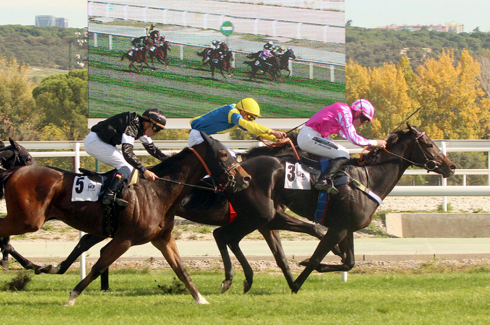 Andia, uno de los cinco triunfos de Arizkorreta. Foto: HZ Andia. Foto: