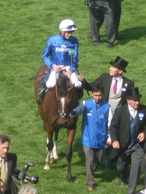 Barney Roy (J.Doyle) 1º en el St James’s Palace Stakes. Foto: Pedro Mercado Barney Roy. Foto: