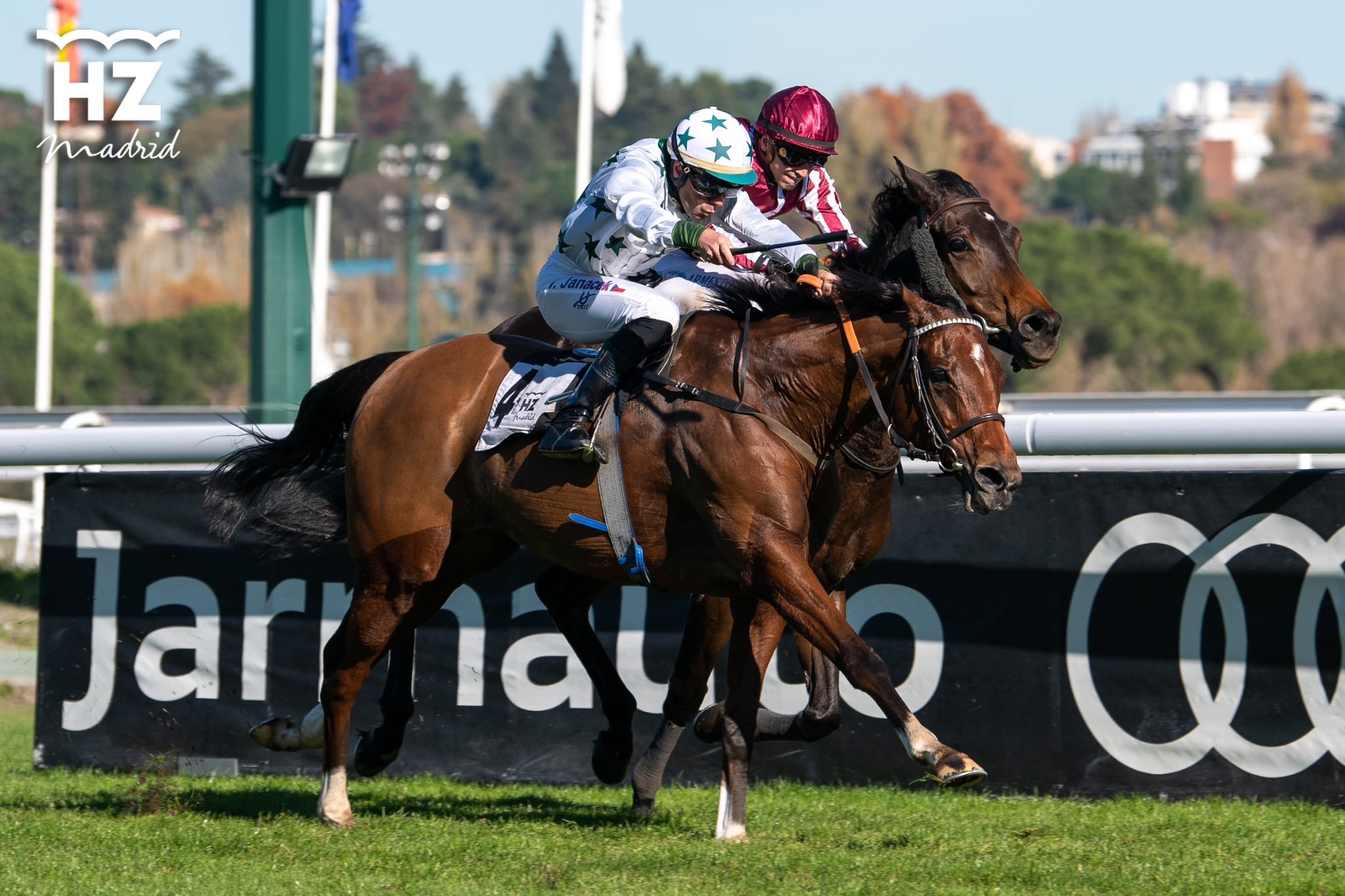 THE WAY OF BONNIE (V.Janacek) supera a FINELY TUNED (J.Gelabert) en la llegada del Gladiateur 2023. Foto: HZ THE WAY. Foto: