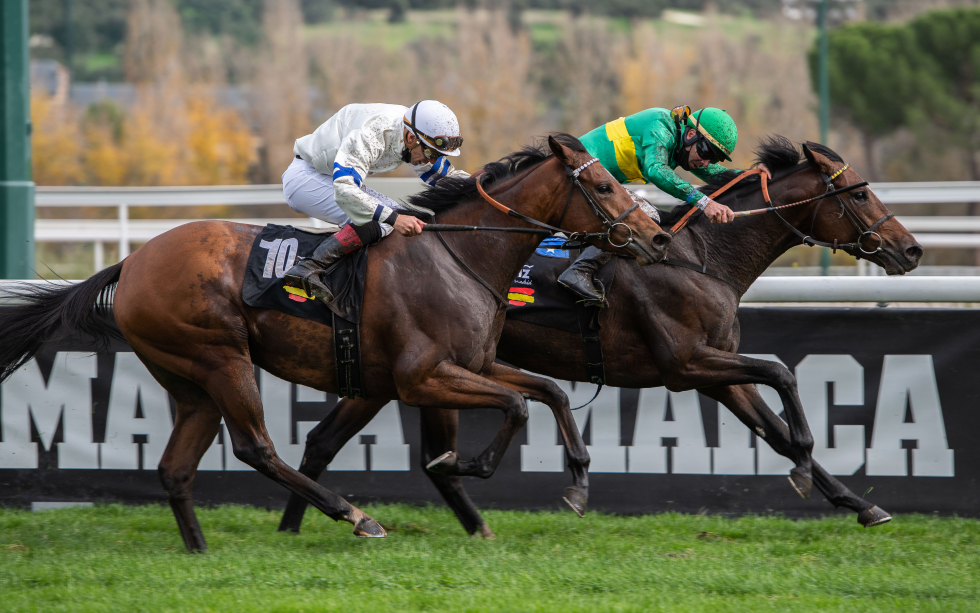 Tronio (V.Janacek) bate a Sudafrica (J.L.Martínez) en el Nacional 2020. Foto: HZ Tronio. Foto: