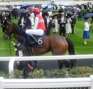 Deirdre impide el póker de Frankie Dettori. Foto: Pedro Mercado Deirdre. Foto: