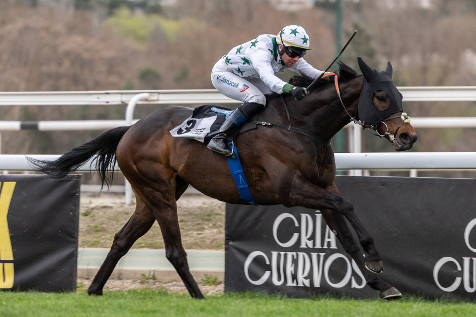 EMINENCE pone rumbo al GP Duque de Alburquerque. Foto: HZ Eminence. Foto: