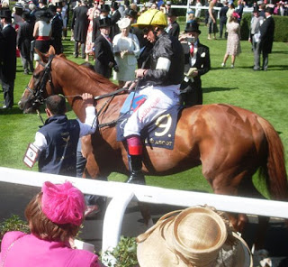Ascot. Foto: 