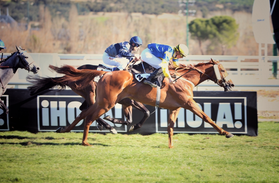 Hipodamo de Mileto. Foto: