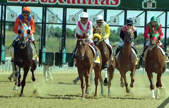 CARLO DE PAON (Blinkers) en la salida de la carrera de Anglo árabes. Foto: EquipoZoom
