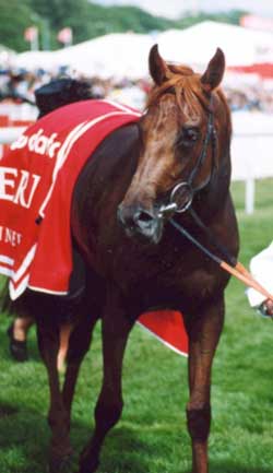 El ganador del Epsom Derby 2003, 
