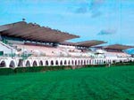 Imagen de archivo del hipódromo de la Zarzuela 