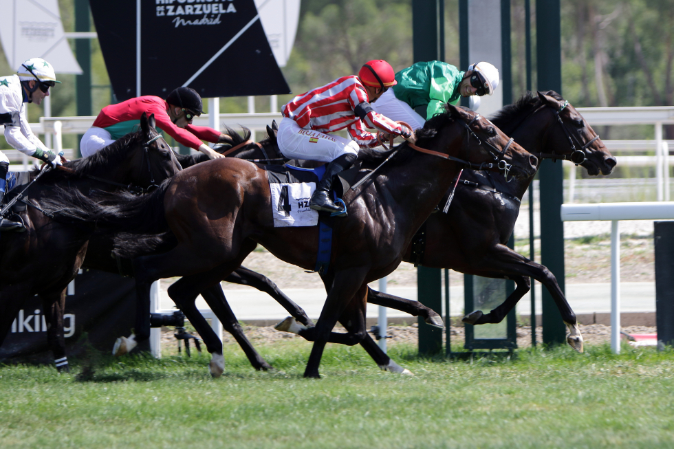 RODABALLO (J.L.Martínez) se reencontró con la victoria en el premio Partirpal. Foto: HZ GREAT. Foto: