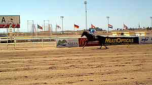POLISH QUEST fácil. Foto: Santos Ríos