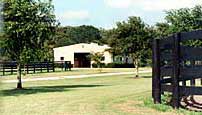 Lane’s End Farm, el próximo verano presentarán a vender sus quince mejores yearlings