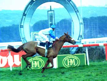 BAY HILL ganando el P.Fierro el 03/12/1995. Foto: EquipoZoom