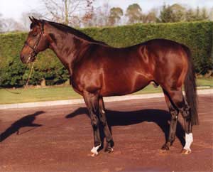 DANEHILL