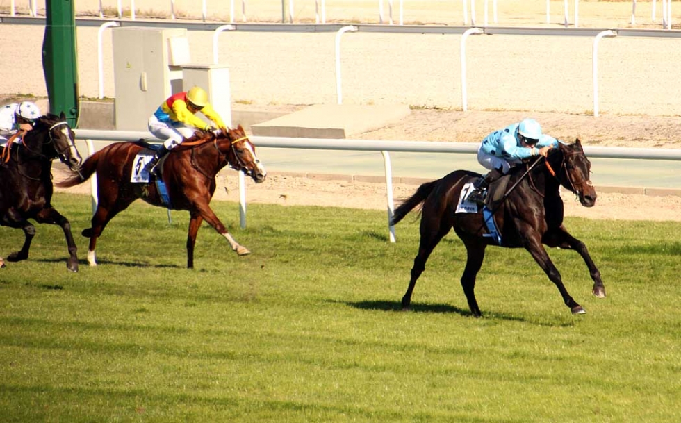 Almorox (J. Augé) se despega de sus rivales en el Premio 76 Aniversario Hz. Foto: A Galopar Almorox. Foto: