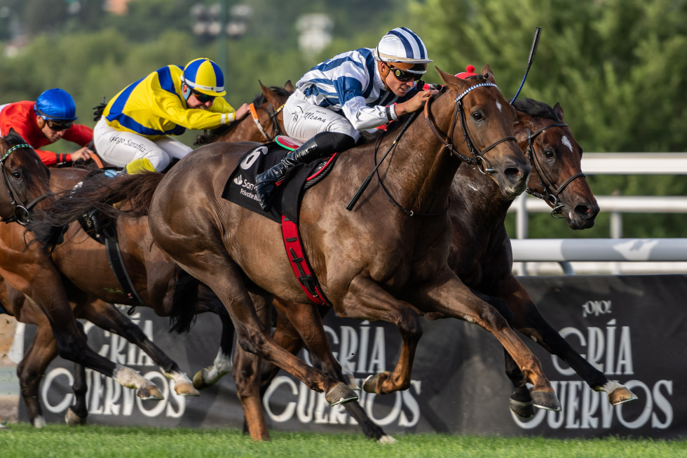 SIMPLY STRIKING (R.Sousa) terminó fuerte para ganar el GP Claudio Carudel. Foto: HZ SIMPLY. Foto: