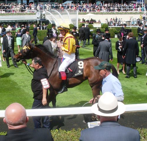 Lady Aurelia (L.Dettori). Foto: Pedro Mercado Lady Aurelia. Foto: