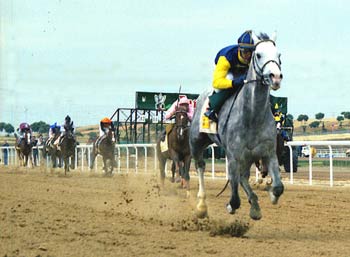 EL MISTERIOSO eclipsando a sus rivales. Foto: EquipoZoom