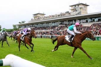 New Bay. Foto: France Galop Eagle Top. Foto: