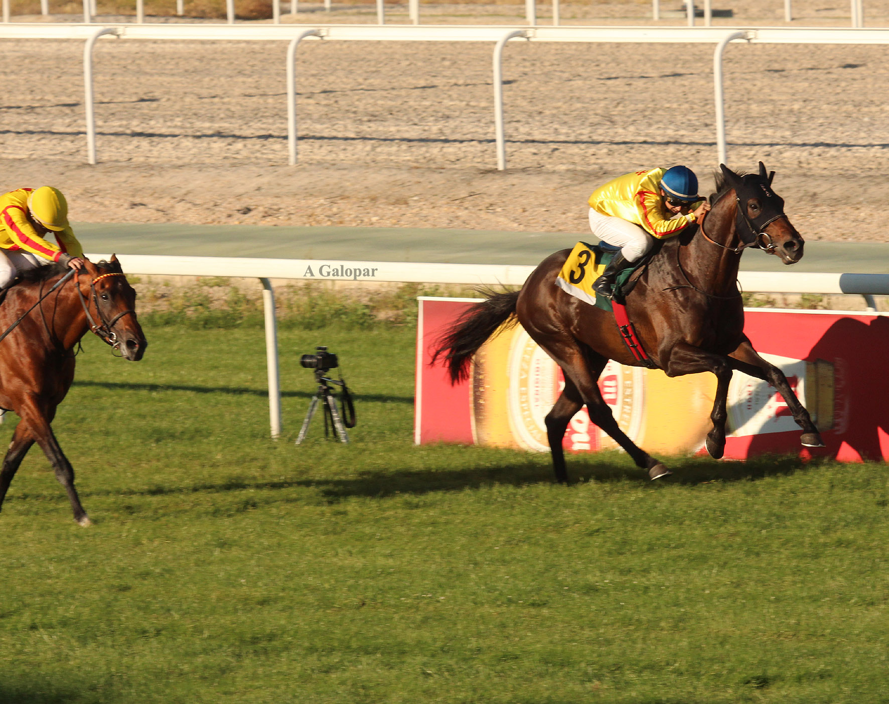 Checo (J.Gelabert) se impone en el Villapadierna. Foto:A Galopar - Hz Nemqueteba. Foto:
