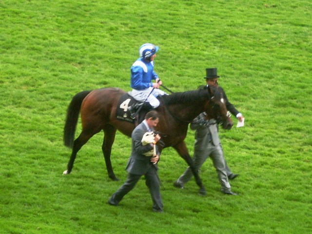 Mahsoob (Wolferton Handicap). Foto: Pedro Mercado Mahsoob. Foto: