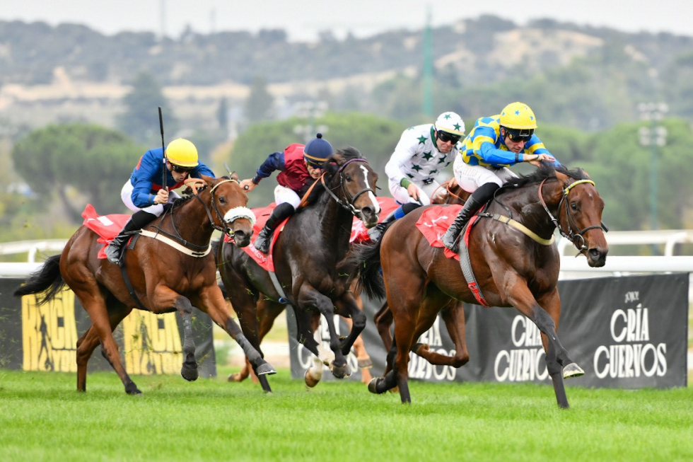 Sommersun (R.Sousa) se adjudica su segundo Criterium. Foto: HZ SOMMERSUN. Foto: