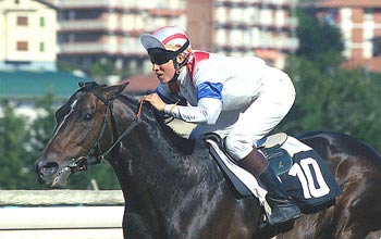CAPICINNE NICOT se paseó sobre CATAVINO. Foto: EquipoZoom