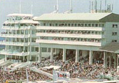 Una imagen de Epsom