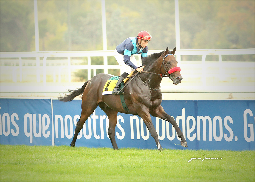 Portobelo y José Luis Martínez ganan el Victoria Eugenia. Foto: Gran Premio-HZ Portobelo. Foto: