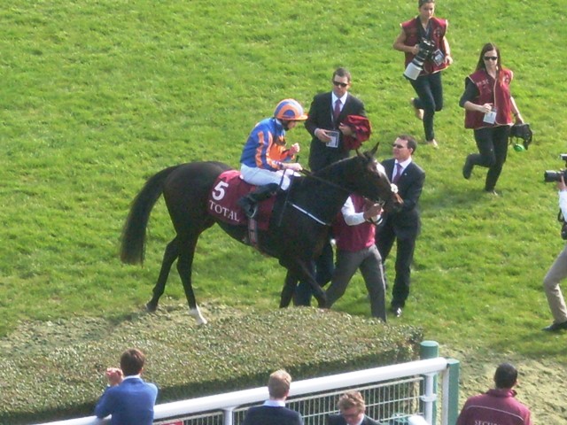 Ballydoyle. Foto: 