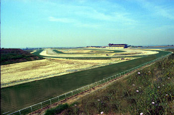 Imagen del hipódromo de dos Hermanas. Foto: EquipoZoom