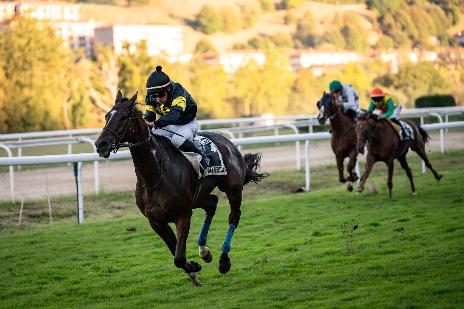 CHERGUI (S. le Queuillec), ganador del Gran Premio de San Sebastián. Foto: Hipodromoa CHERGUI. Foto:
