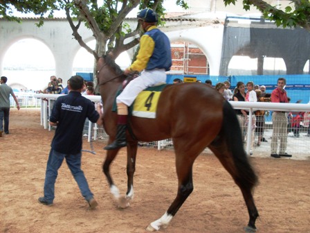 Mil Azul Foto: Shergar