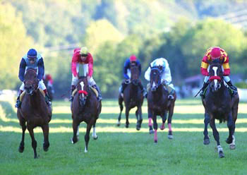 TOSCANO (derecha) cazaría de finales a POINCIANA. Foto: EquipoZoom