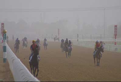 Hipodromo de Nad-Al-Sheba en un entrenamiento