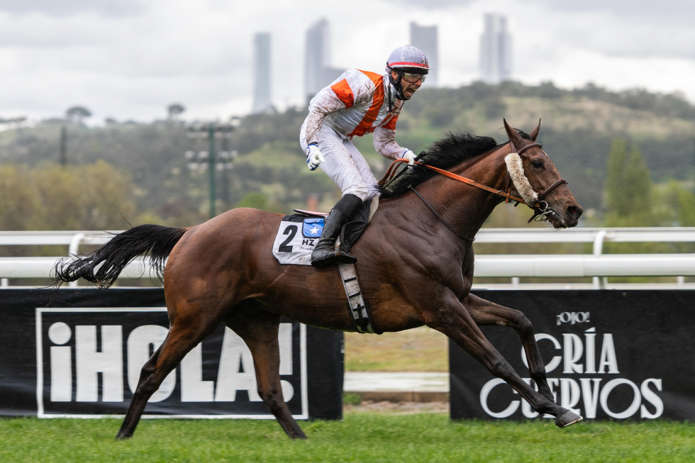 Qatar River (R.Ramos) se impone en el Indian Prince. Foto: HZ Qatar River. Foto: