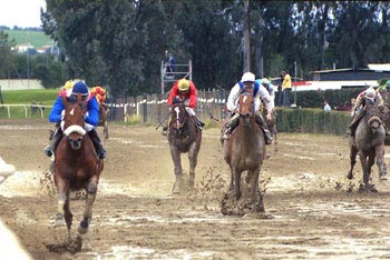  Cedar Light se despide de sus rivales. Foto: EquipoZoom