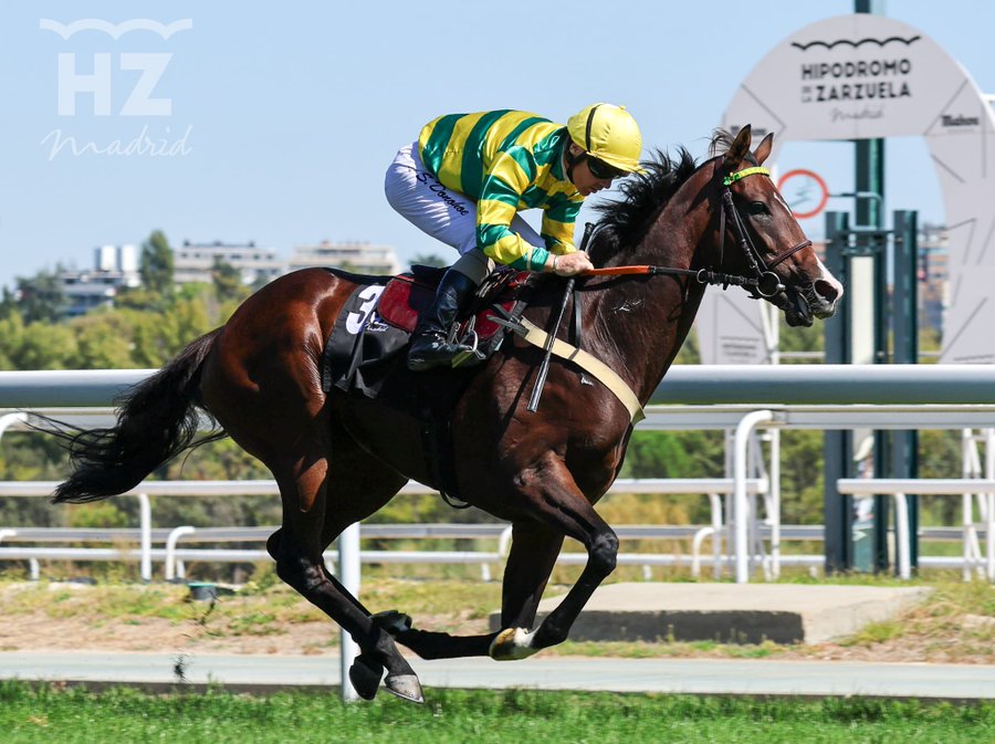 SWEET CAROLINE (S.Donohoe) repitió victoria en el Benitez de Lugo. Foto: HZ SWEET. Foto: