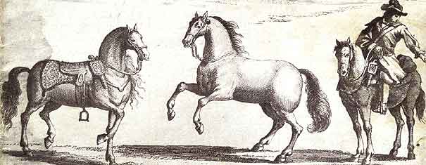 Royal Mares. Grabado: 