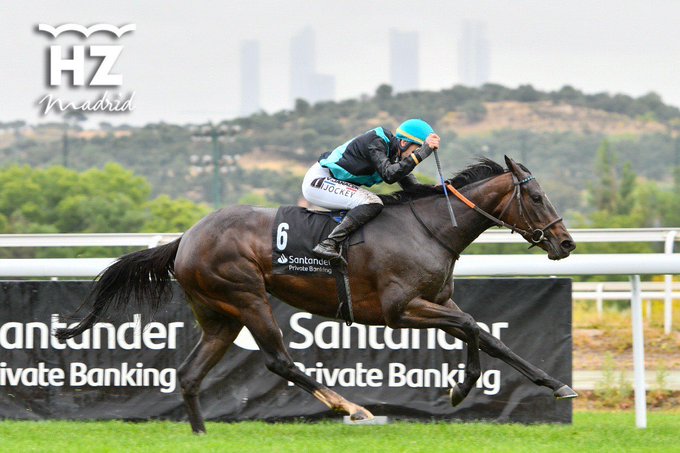 SAFAGA (V.Janacek), ganadora del Beamonte 2023 Foto: HZ SAFAGA. Foto: