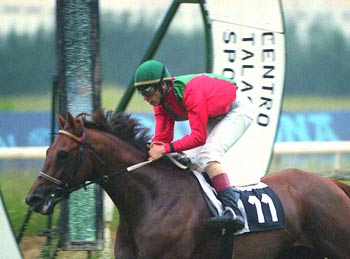 TARDACHO primera victoria para Espinosa. Foto: EquipoZoom