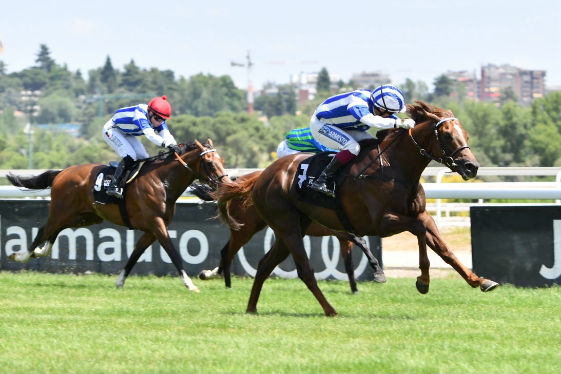 MAJESTAD (J.Gelabert) se impuso con facilidad en el derby Villapadierna. Foto: HZ MAJESTAD. Foto: